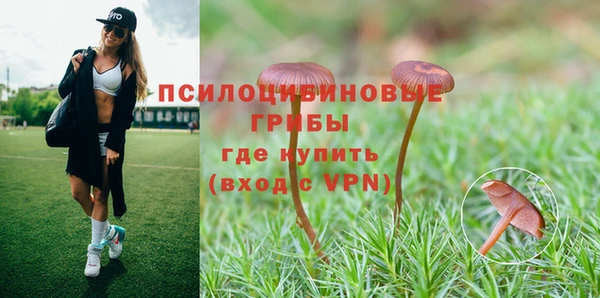 дмт Покачи