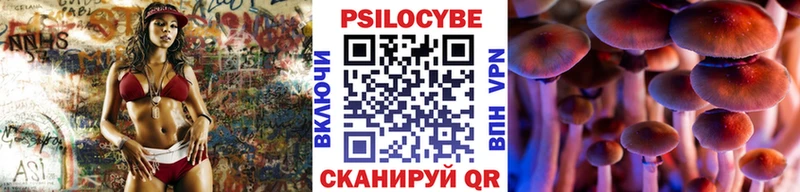 даркнет сайт  Тбилисская  Галлюциногенные грибы Psilocybe 