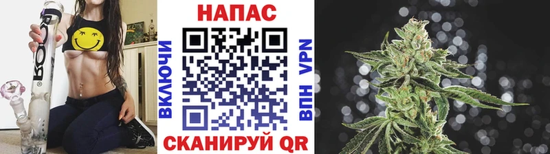 Конопля конопля  где продают   Тбилисская 